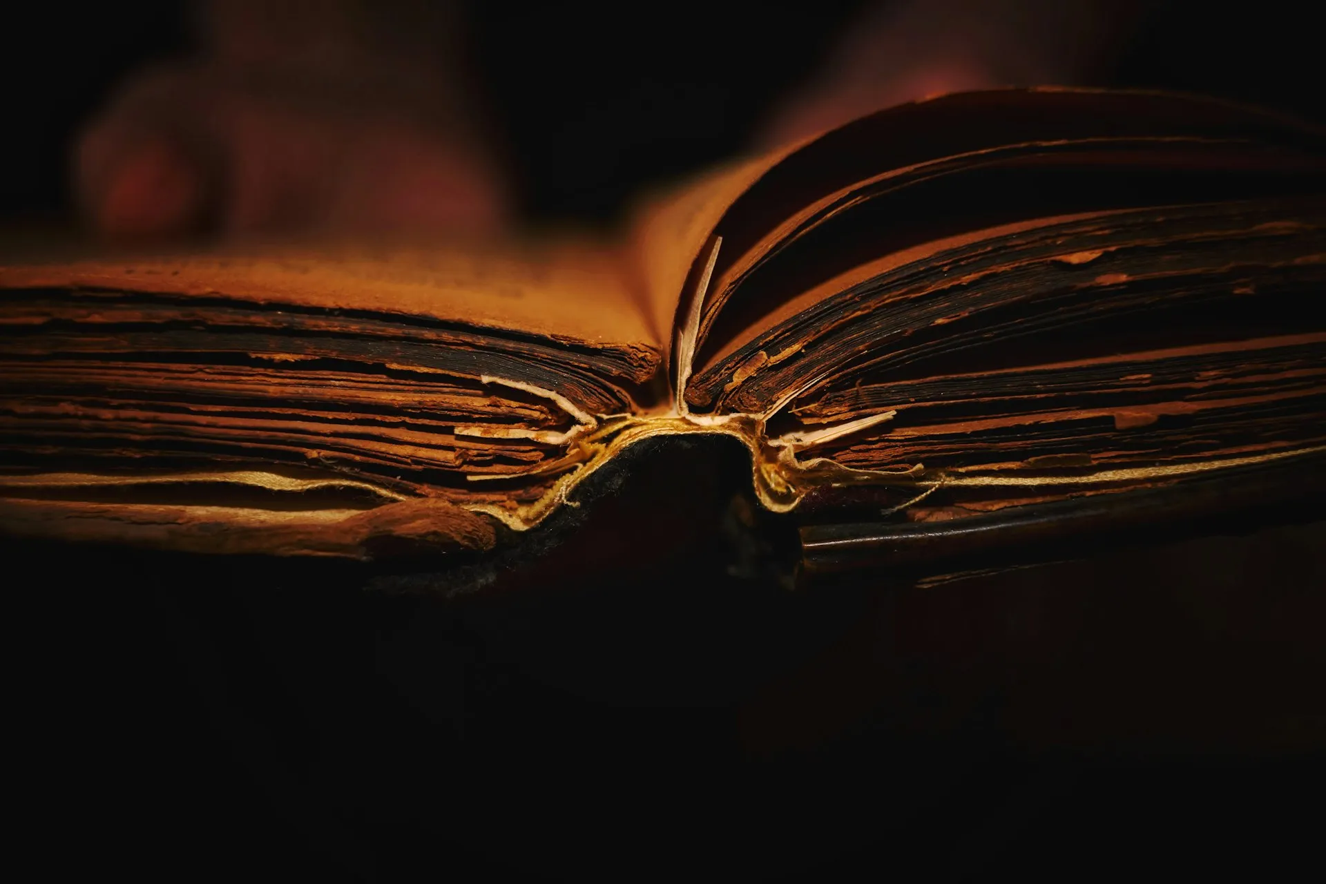 Libro antiguo abierto en la penumbra